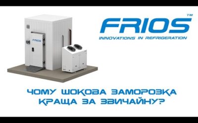Чому шокова заморозка краща за звичайну?