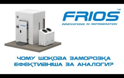 Чому шокова заморозка ефективніша за аналоги?